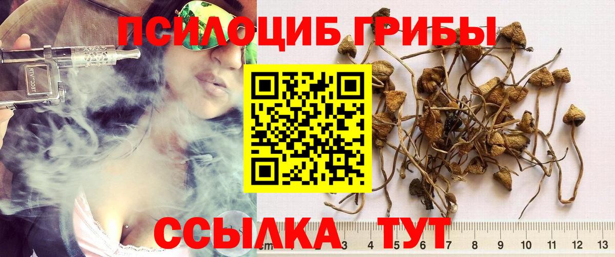 Псилоцибиновые грибы мухоморы Чита