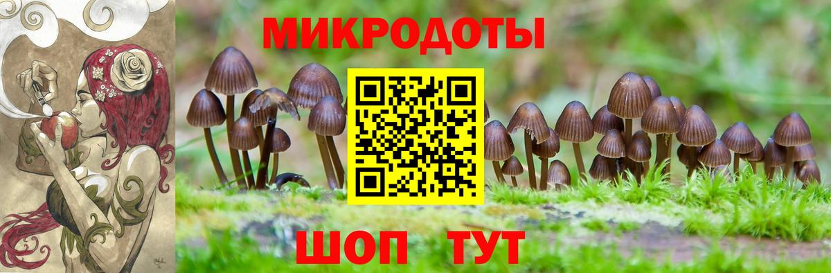 Галлюциногенные грибы GOLDEN TEACHER  Галлюциногенные грибы Cubensis  Вход с VPN  Чита 